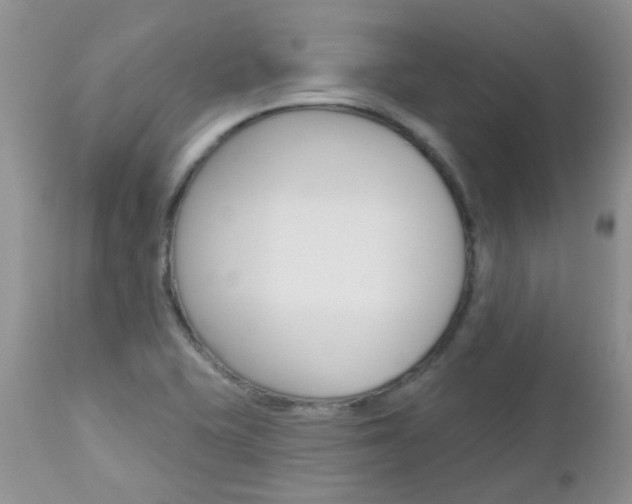 X0000113121415200908281031