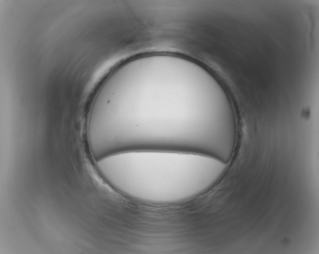 X0000113121416200908281031