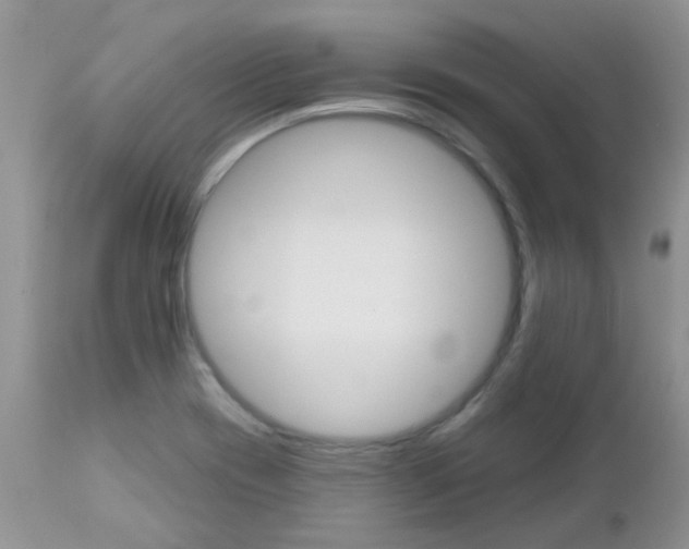 X0000113121417200908281031