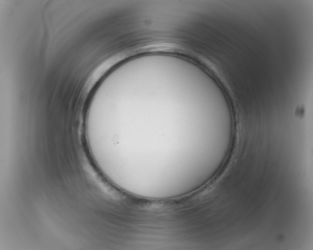 X0000113121418200908281031