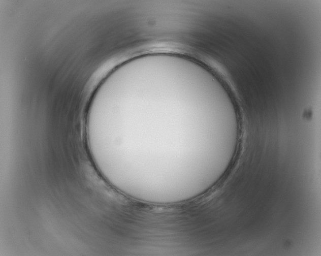 X0000113121419200908281031