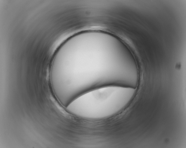 X0000113121420200908281031