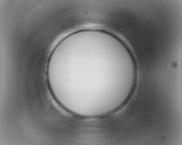 X0000113121421200908281031