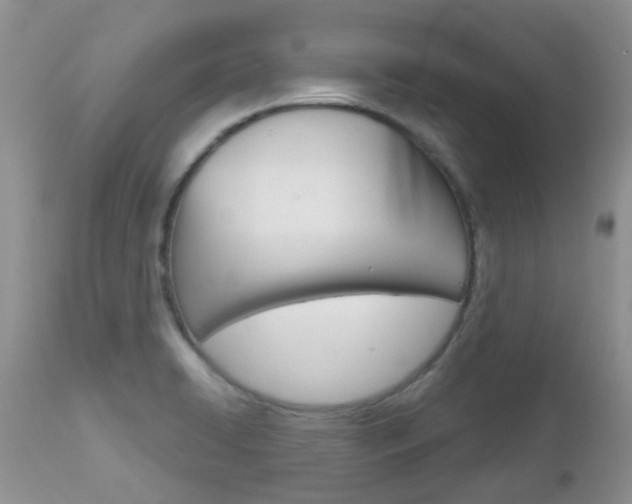 X0000113121422200908281031