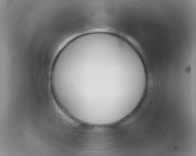 X0000113121423200908281031