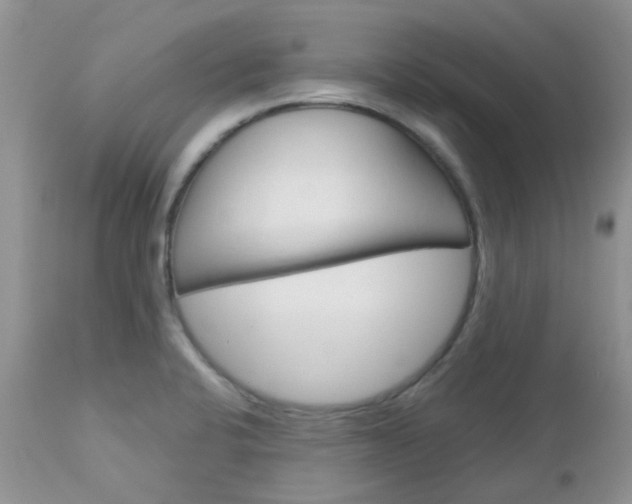 X0000113121424200908281031