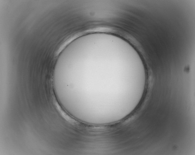X0000113121425200908281031