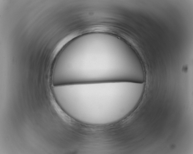 X0000113121426200908281031