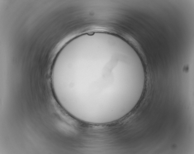 X0000113121427200908281031