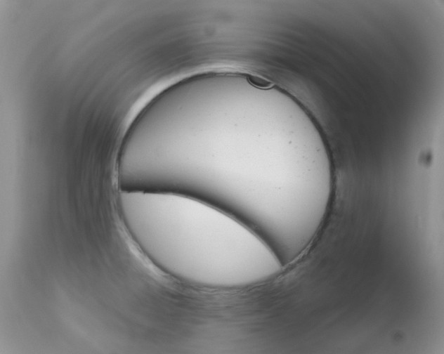 X0000113121428200908281031