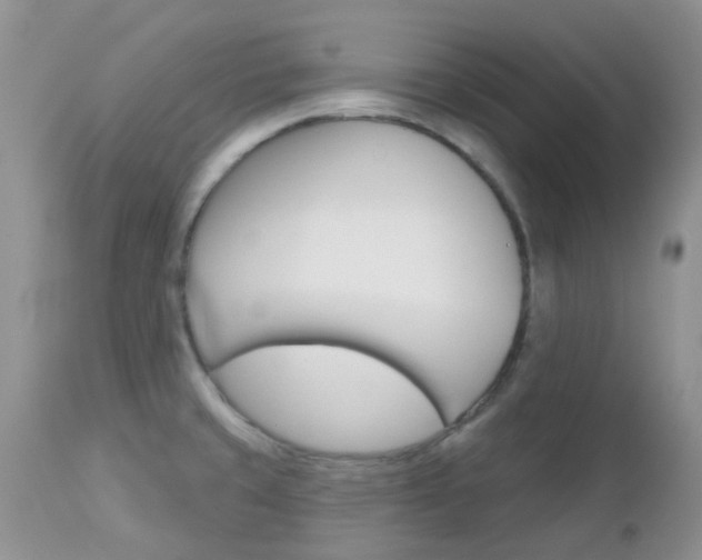 X0000113121429200908281031