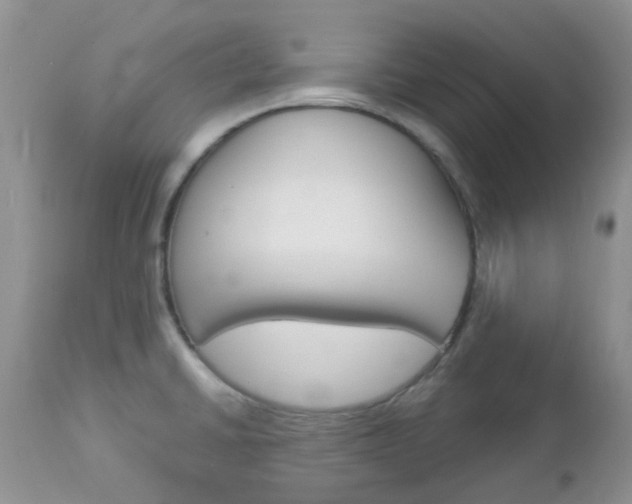 X0000113121430200908281031