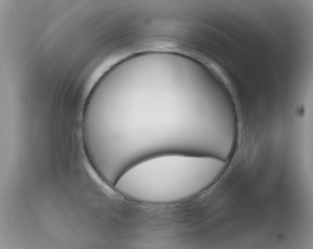 X0000113121432200908281031