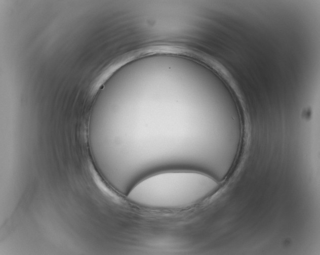 X0000113121433200908281031