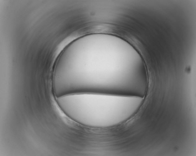 X0000113121434200908281031