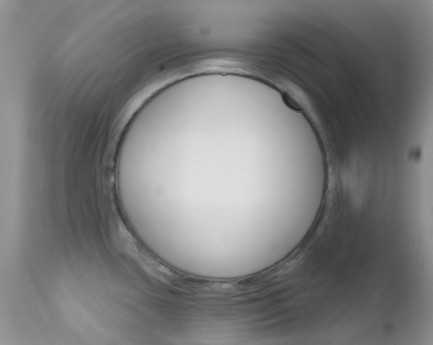 X0000113121435200908281031
