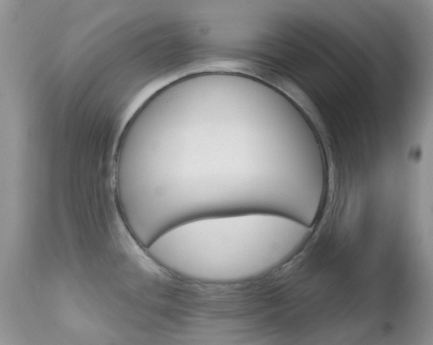 X0000113121436200908281031
