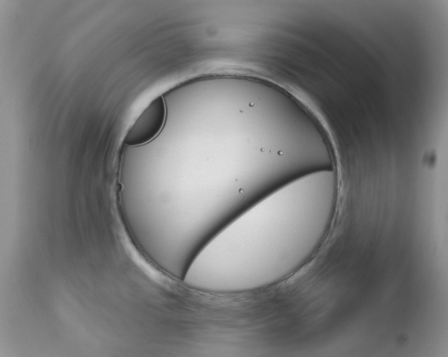 X0000113121437200908281031