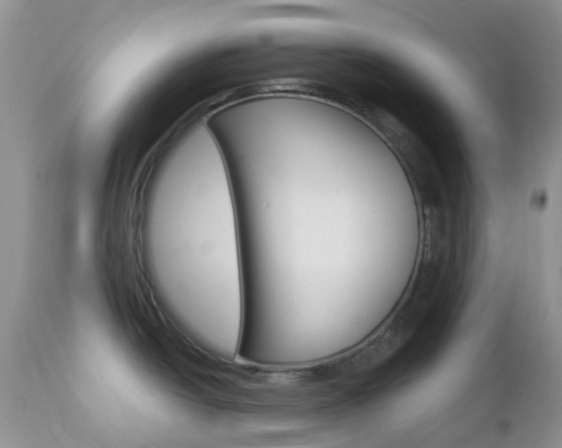 X0000113121438200908281031