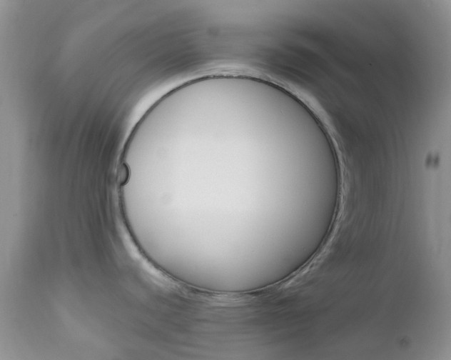 X0000113121440200908281031