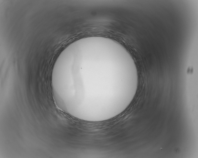 X0000113121441200908281030