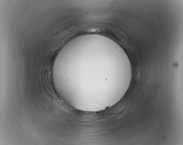 X0000113121442200908281030