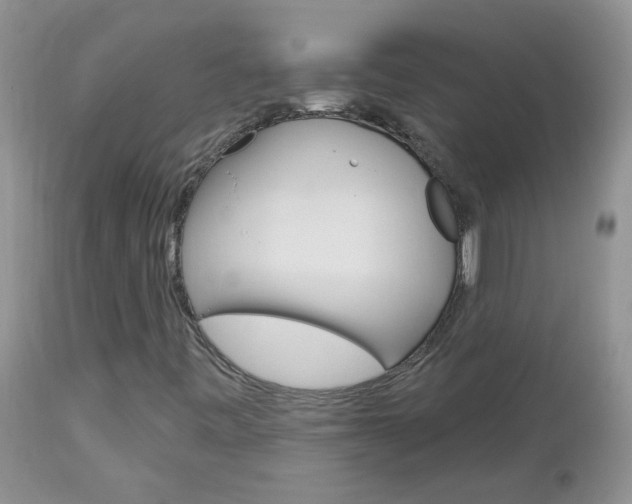 X0000113121443200908281030
