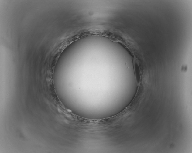 X0000113121445200908281030