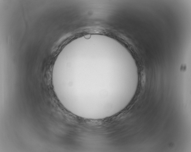 X0000113121446200908281030