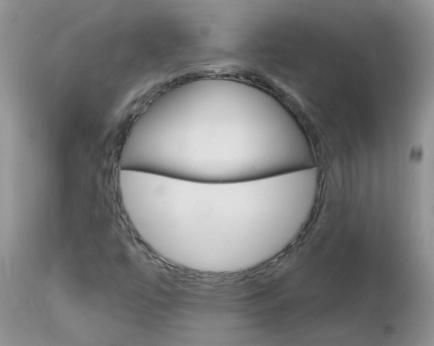 X0000113121447200908281030