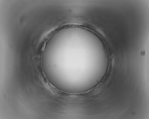 X0000113121448200908281030