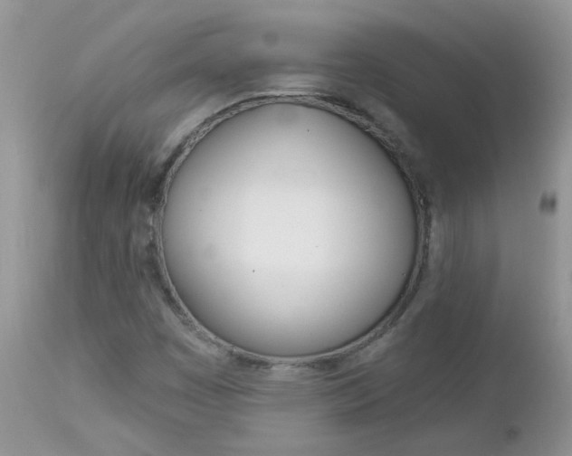 X0000113121449200908281030