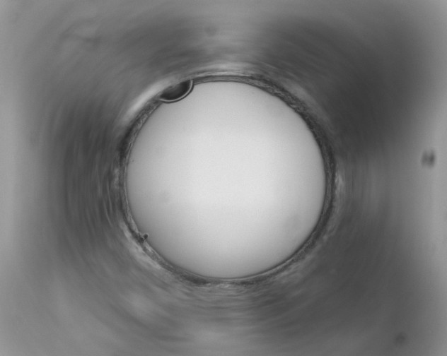 X0000113121450200908281030
