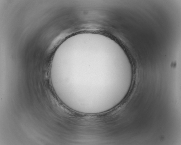 X0000113121451200908281030
