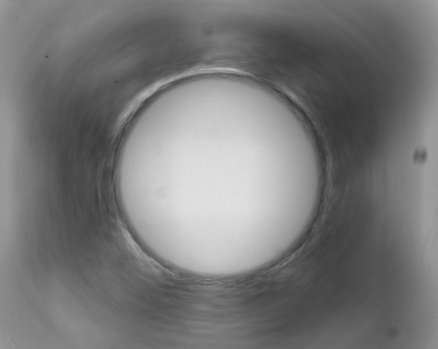 X0000113121452200908281030