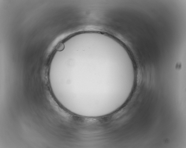 X0000113121454200908281030