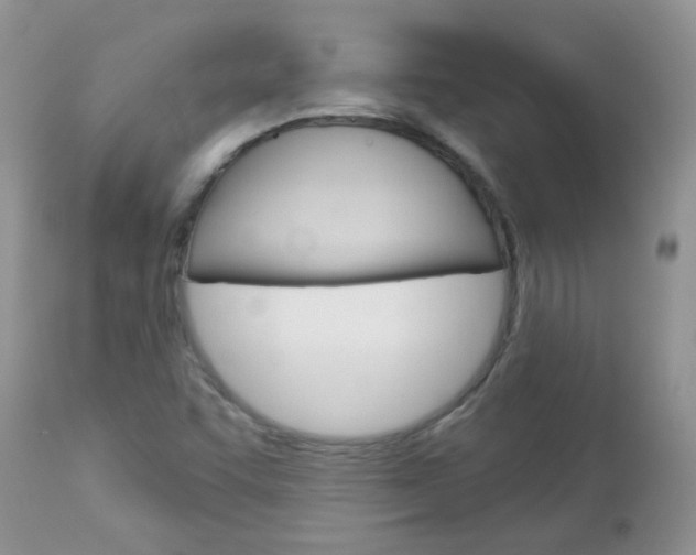 X0000113121455200908281030