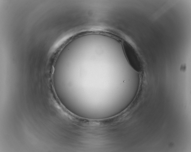 X0000113121456200908281030