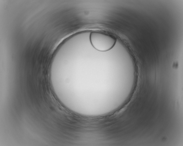 X0000113121457200908281030