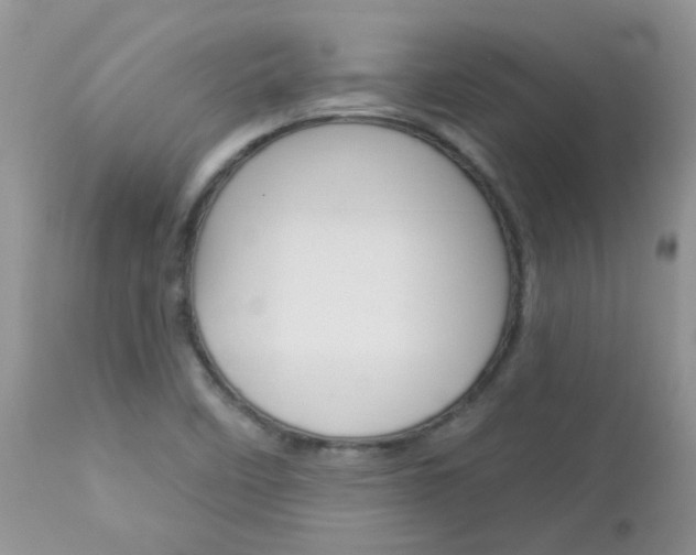 X0000113121458200908281030