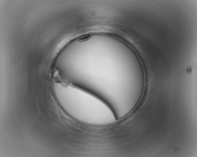 X0000113121459200908281030