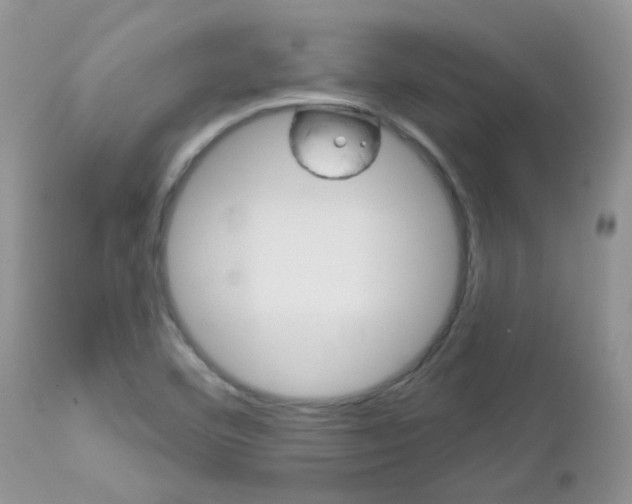 X0000113121460200908281030