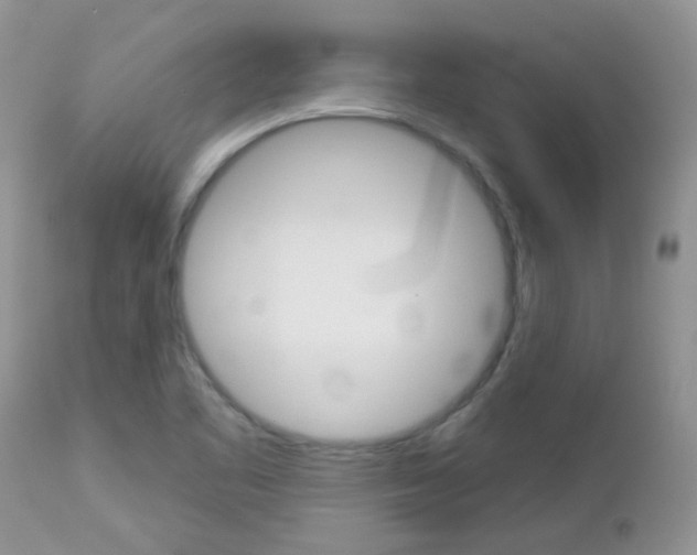 X0000113121461200908281030