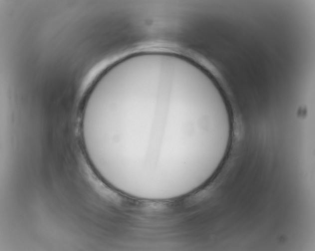 X0000113121462200908281030