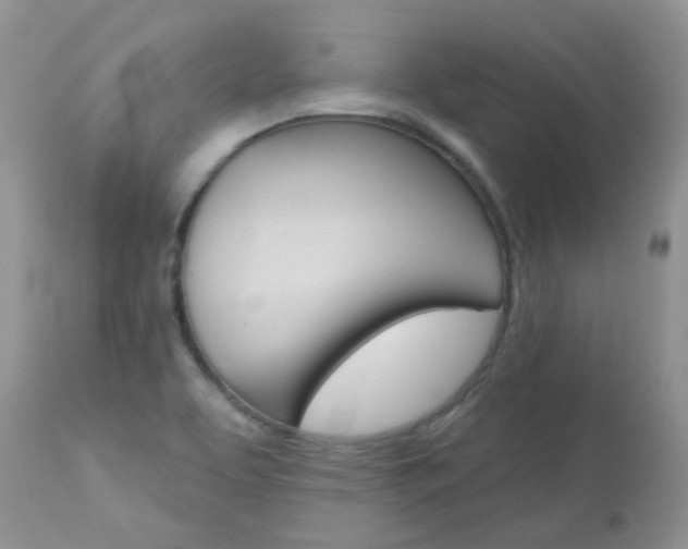 X0000113121463200908281030