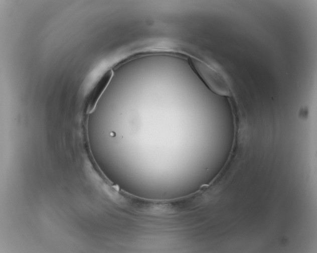 X0000113121464200908281030