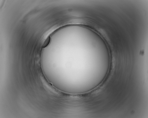 X0000113121465200908281030