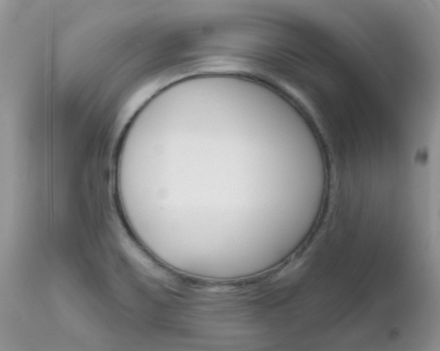 X0000113121467200908281029