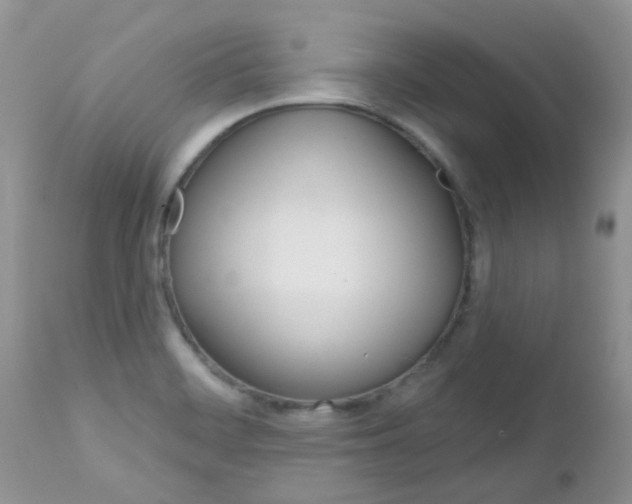 X0000113121468200908281029