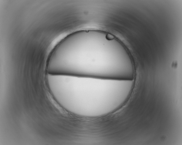 X0000113121469200908281029